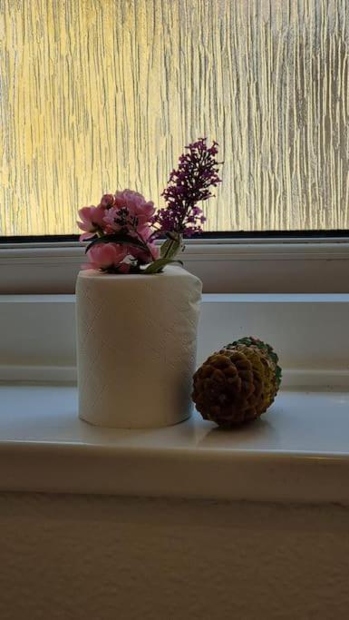 Spacious 2 Bed Bungalow Enfield Extérieur photo